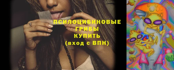 дживик Гусев