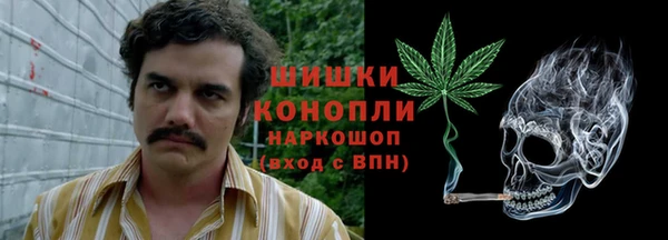дживик Гусев