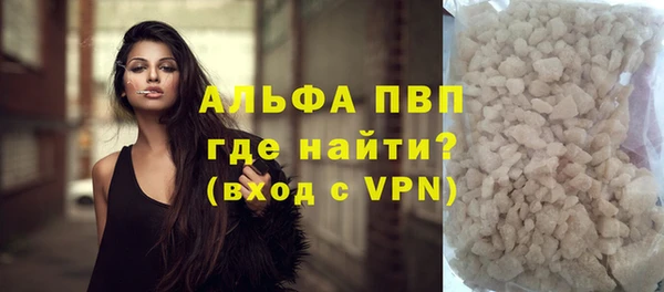 дживик Гусев