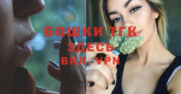 тгк Гусь-Хрустальный