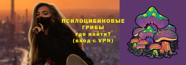 2c-b Гусиноозёрск
