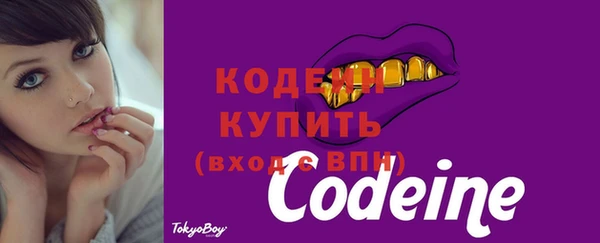дживик Гусев