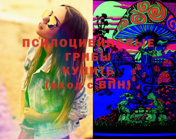 тгк Гусь-Хрустальный