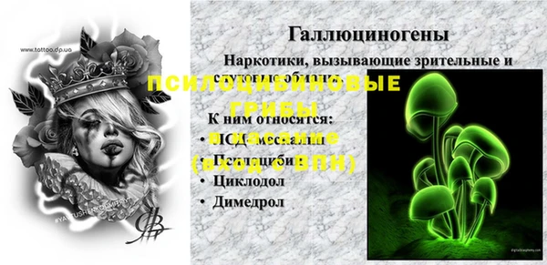 2c-b Гусиноозёрск