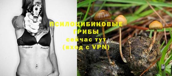 тгк Гусь-Хрустальный