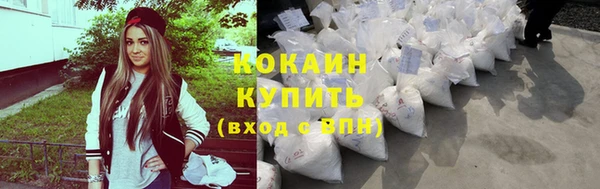 тгк Гусь-Хрустальный